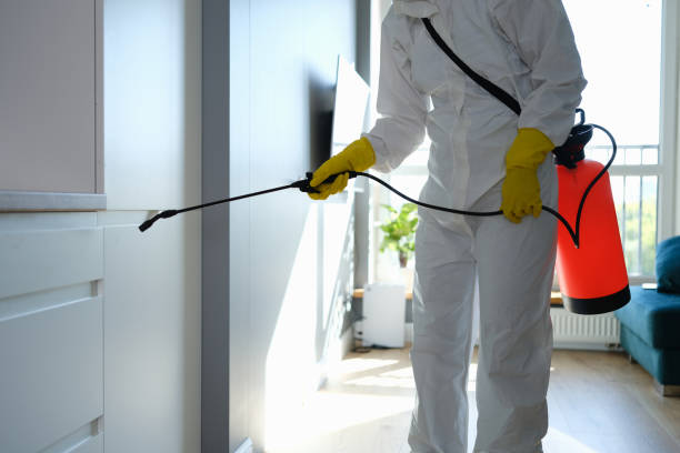 Mold Testing and Removal in Kosciusko, MS