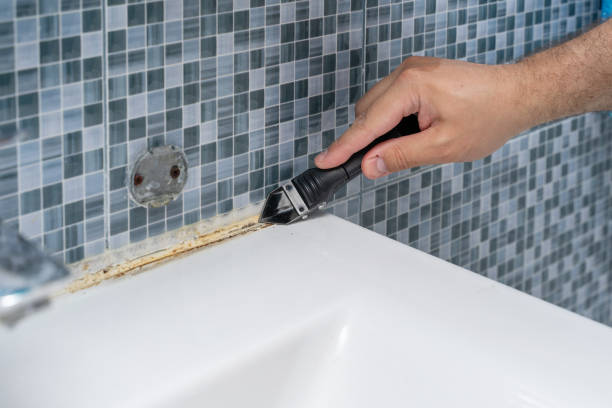 Best Fast Mold Removal  in Kosciusko, MS