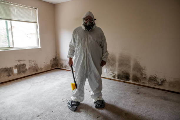 Mold Removal Process in Kosciusko, MS