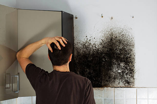 Best Emergency Mold Removal  in Kosciusko, MS